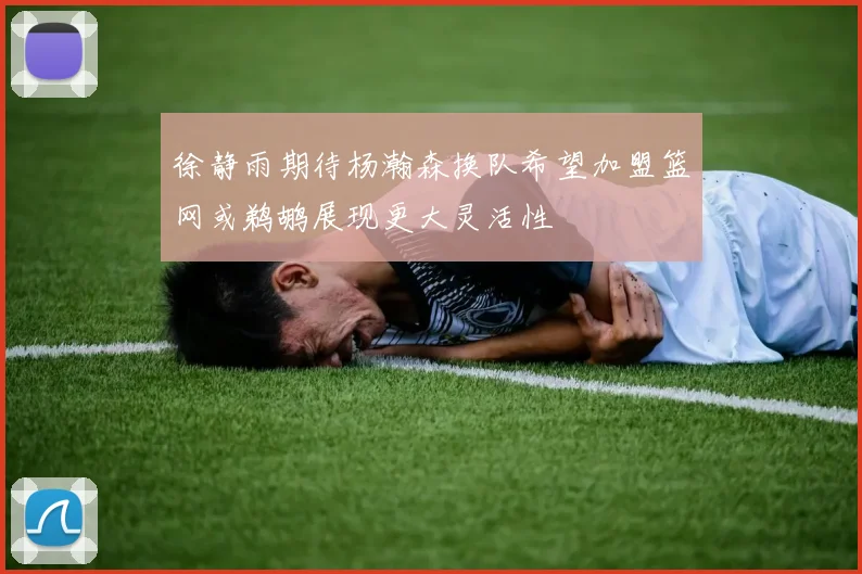 徐静雨期待杨瀚森换队希望加盟篮网或鹈鹕展现更大灵活性