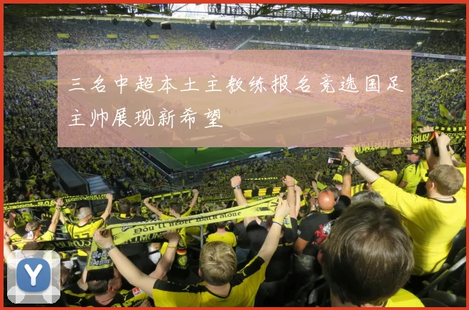 三名中超本土主教练报名竞选国足主帅展现新希望