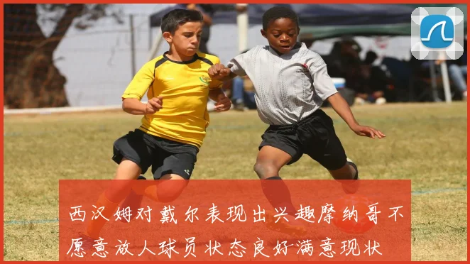 西汉姆对戴尔表现出兴趣摩纳哥不愿意放人球员状态良好满意现状
