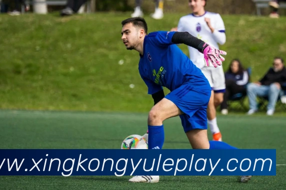 星空娱乐平台生态图