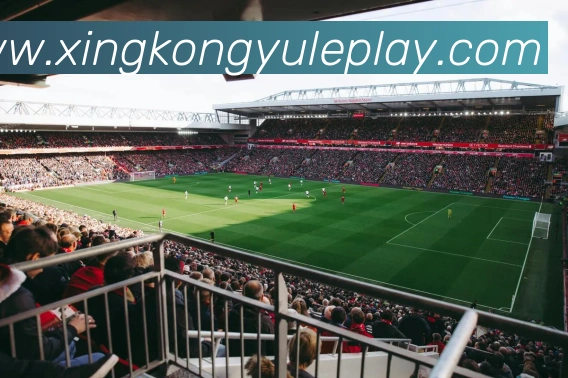 星空娱乐全站App